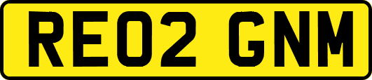 RE02GNM