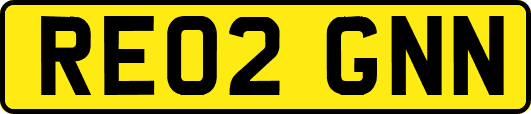 RE02GNN