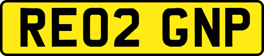 RE02GNP