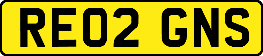 RE02GNS