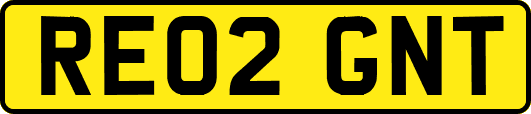 RE02GNT