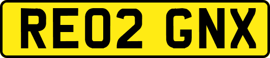 RE02GNX