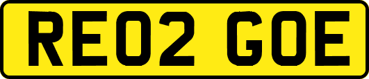 RE02GOE