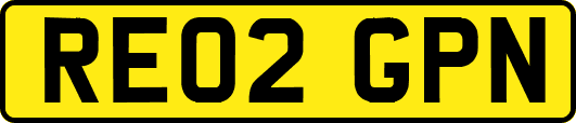 RE02GPN