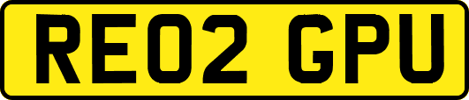 RE02GPU