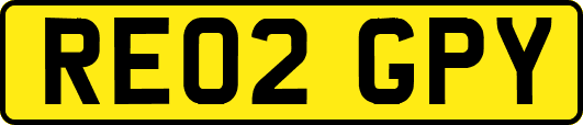 RE02GPY