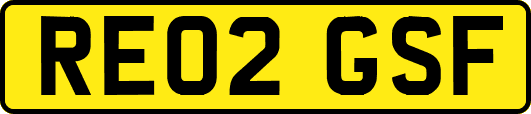 RE02GSF