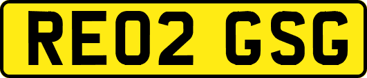 RE02GSG