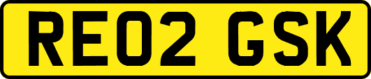 RE02GSK