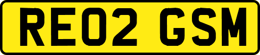 RE02GSM