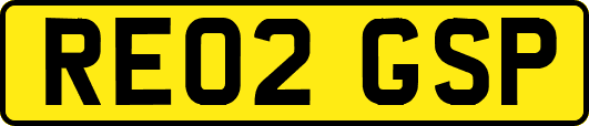 RE02GSP