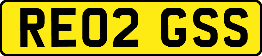 RE02GSS