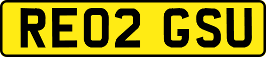 RE02GSU