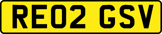 RE02GSV