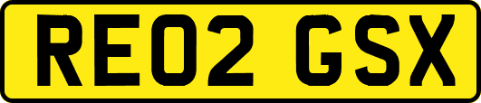 RE02GSX