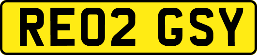 RE02GSY