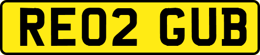 RE02GUB