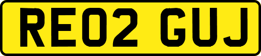 RE02GUJ