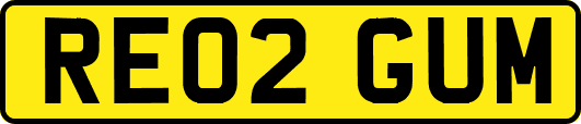 RE02GUM