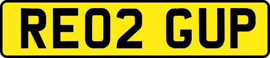 RE02GUP