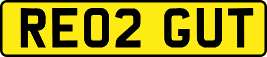 RE02GUT