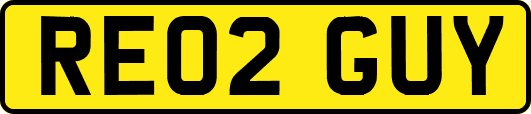 RE02GUY