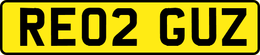 RE02GUZ