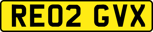 RE02GVX