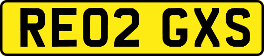RE02GXS