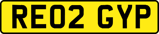 RE02GYP