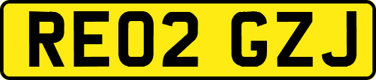 RE02GZJ