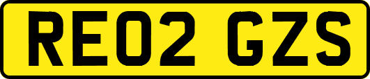 RE02GZS