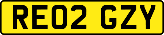 RE02GZY