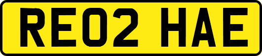 RE02HAE