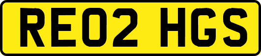 RE02HGS