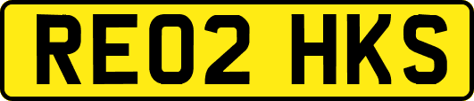 RE02HKS
