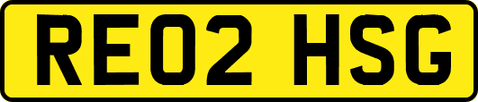 RE02HSG