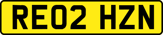 RE02HZN