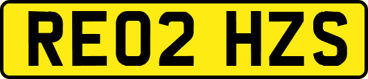 RE02HZS