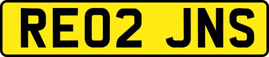 RE02JNS