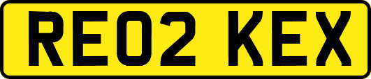 RE02KEX