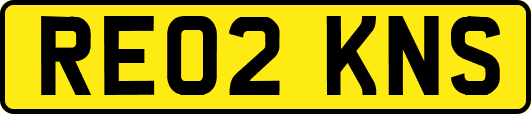 RE02KNS