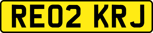 RE02KRJ