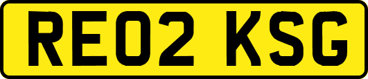 RE02KSG