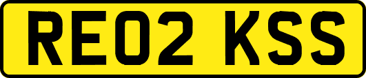 RE02KSS