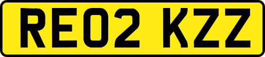 RE02KZZ