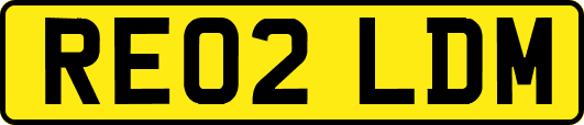 RE02LDM