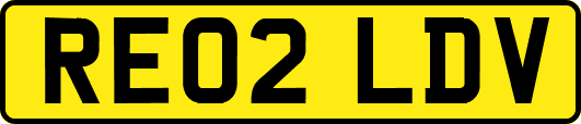 RE02LDV