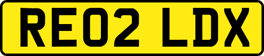 RE02LDX