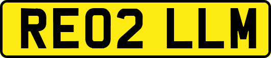 RE02LLM